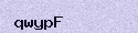 Visual Confirmation Security Code